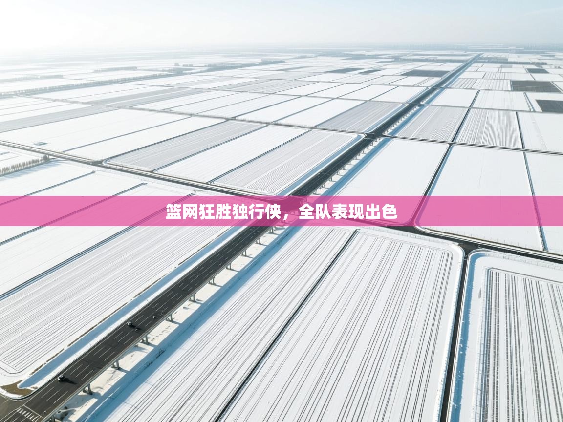 篮网狂胜独行侠，全队表现出色