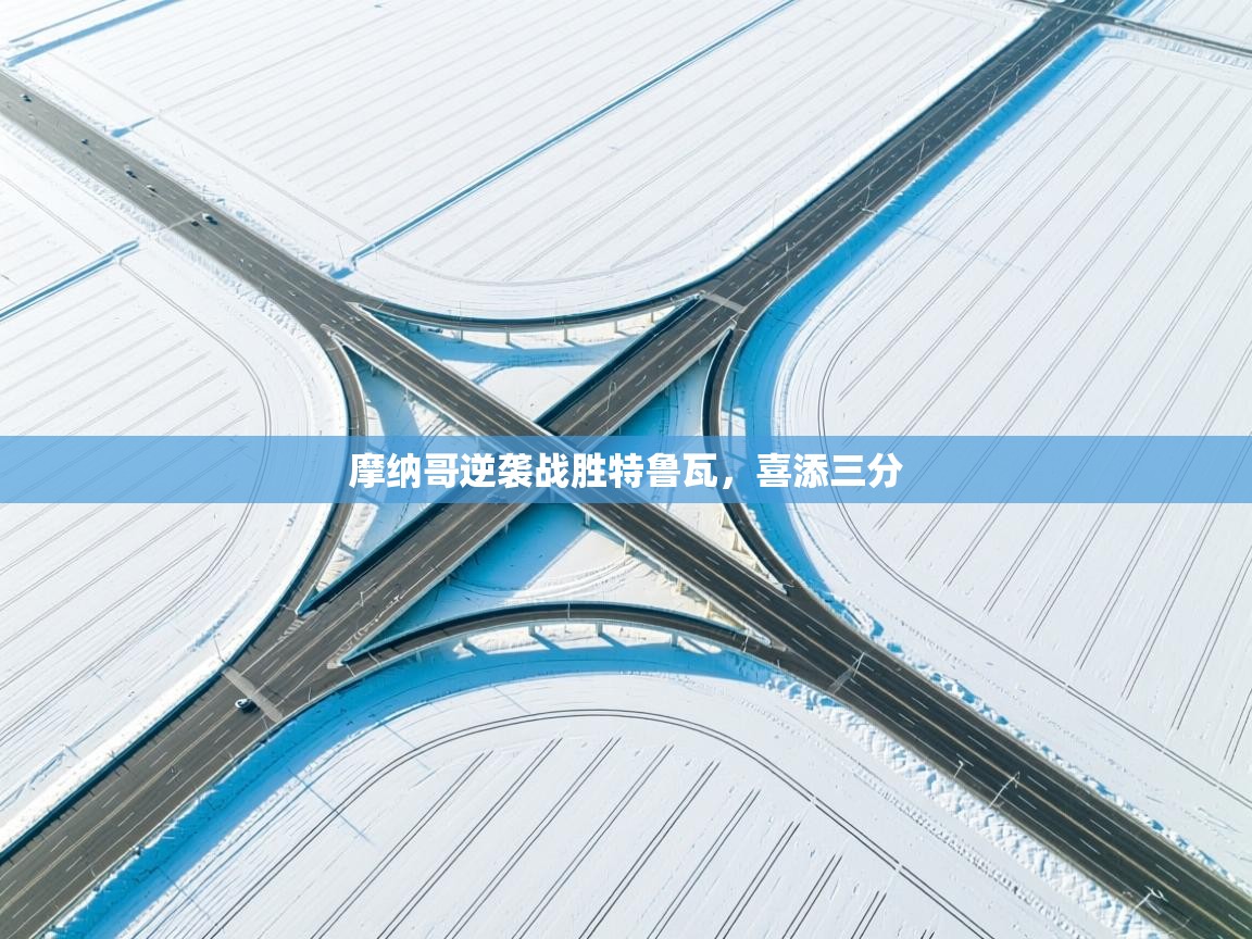 摩纳哥逆袭战胜特鲁瓦，喜添三分  第2张