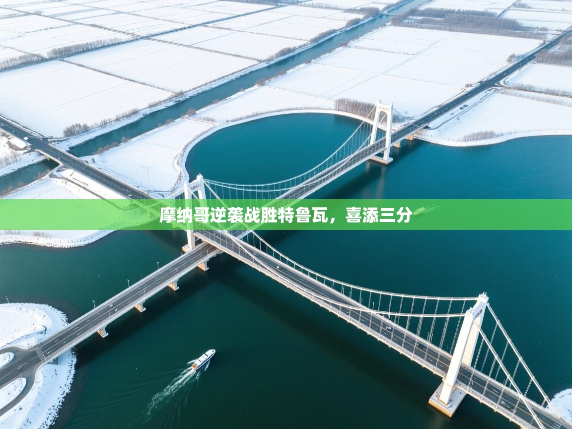 摩纳哥逆袭战胜特鲁瓦，喜添三分  第1张