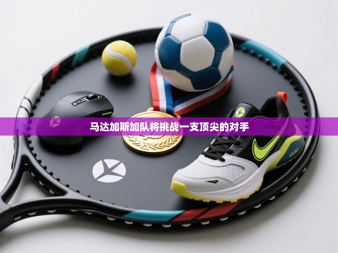 马达加斯加队将挑战一支顶尖的对手